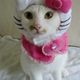 Image for article titled Japan's Hello Kitty Cat Humiliation System